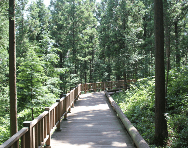 제암산자연휴양림