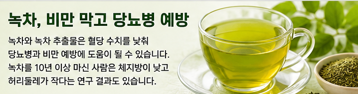 녹차, 비만 막고 당뇨병 예방