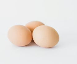 비타민A가 많은 음식