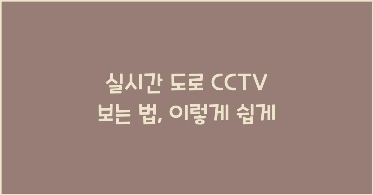 실시간 도로 cctv 보는 법
