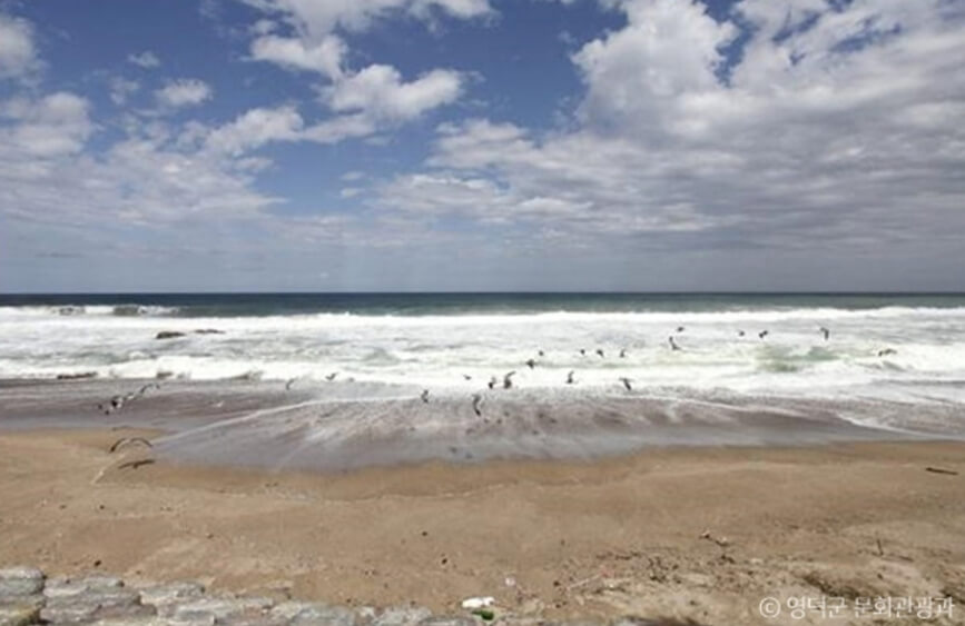 영덕 가볼만한곳 베스트 10