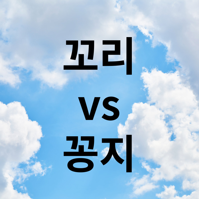 꼬리vs꽁지