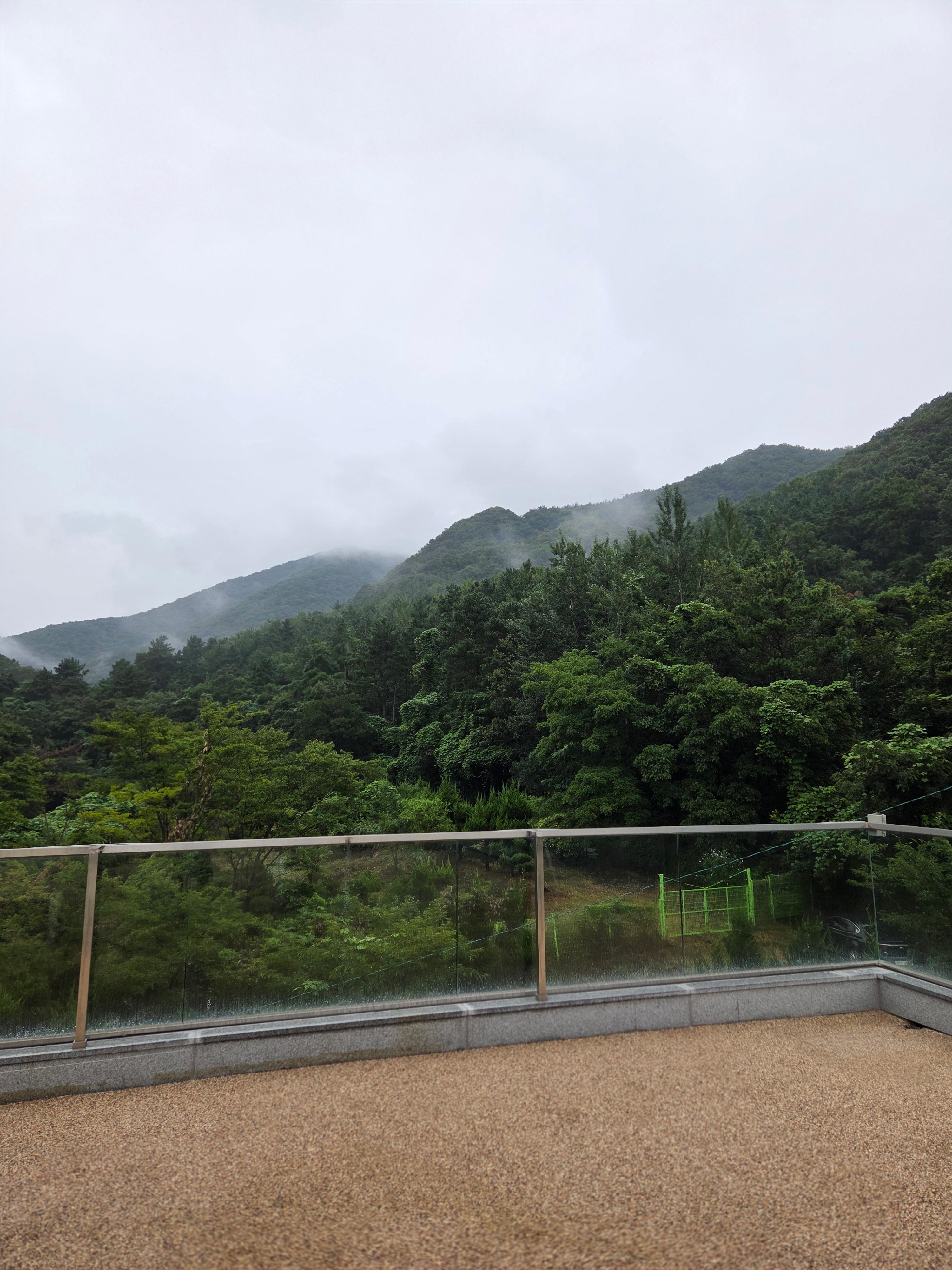 장군차 산들에서 본 전경