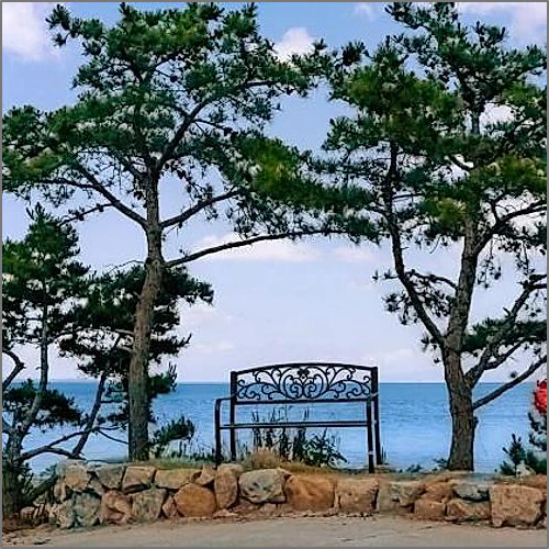 영덕 오르또바다마을6펜션 (Yeongdeok Orto Sea Village 6 Pension)_4