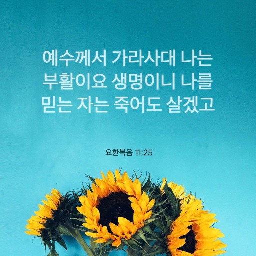 요11:25