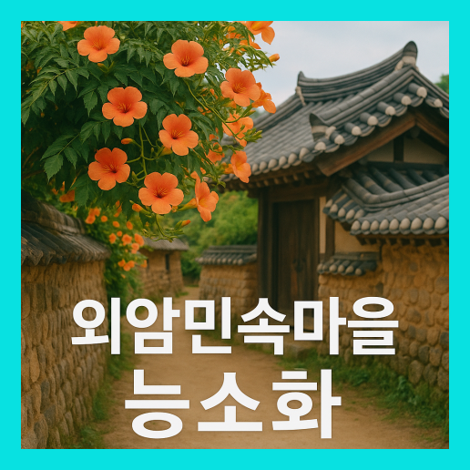 외암 민속마을 능소화 가이드