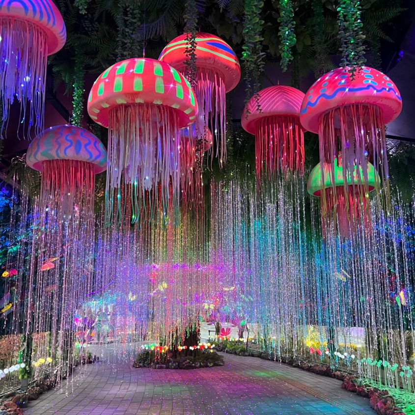 대전오월드 플라워랜드