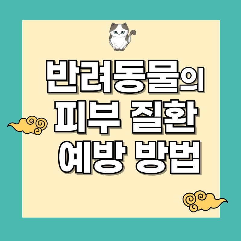 반려동물 피부질환 예방방법