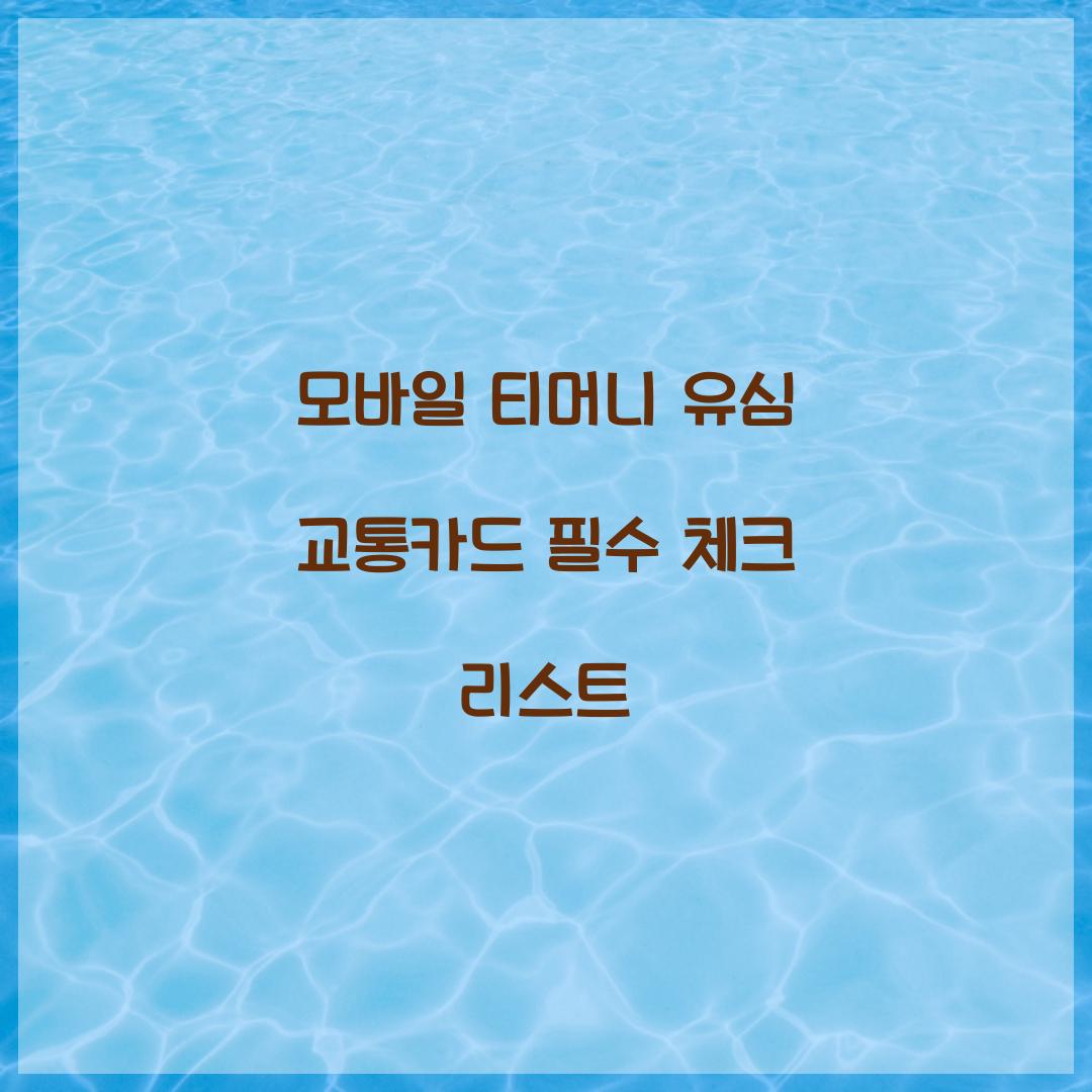 모바일 티머니 유심 교통카드