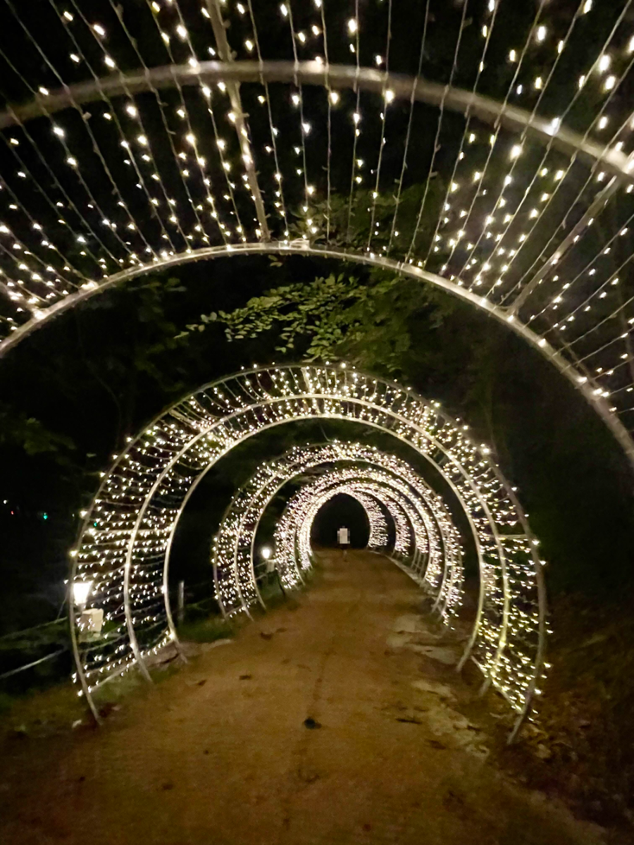 오크밸리 빛의 터널4
