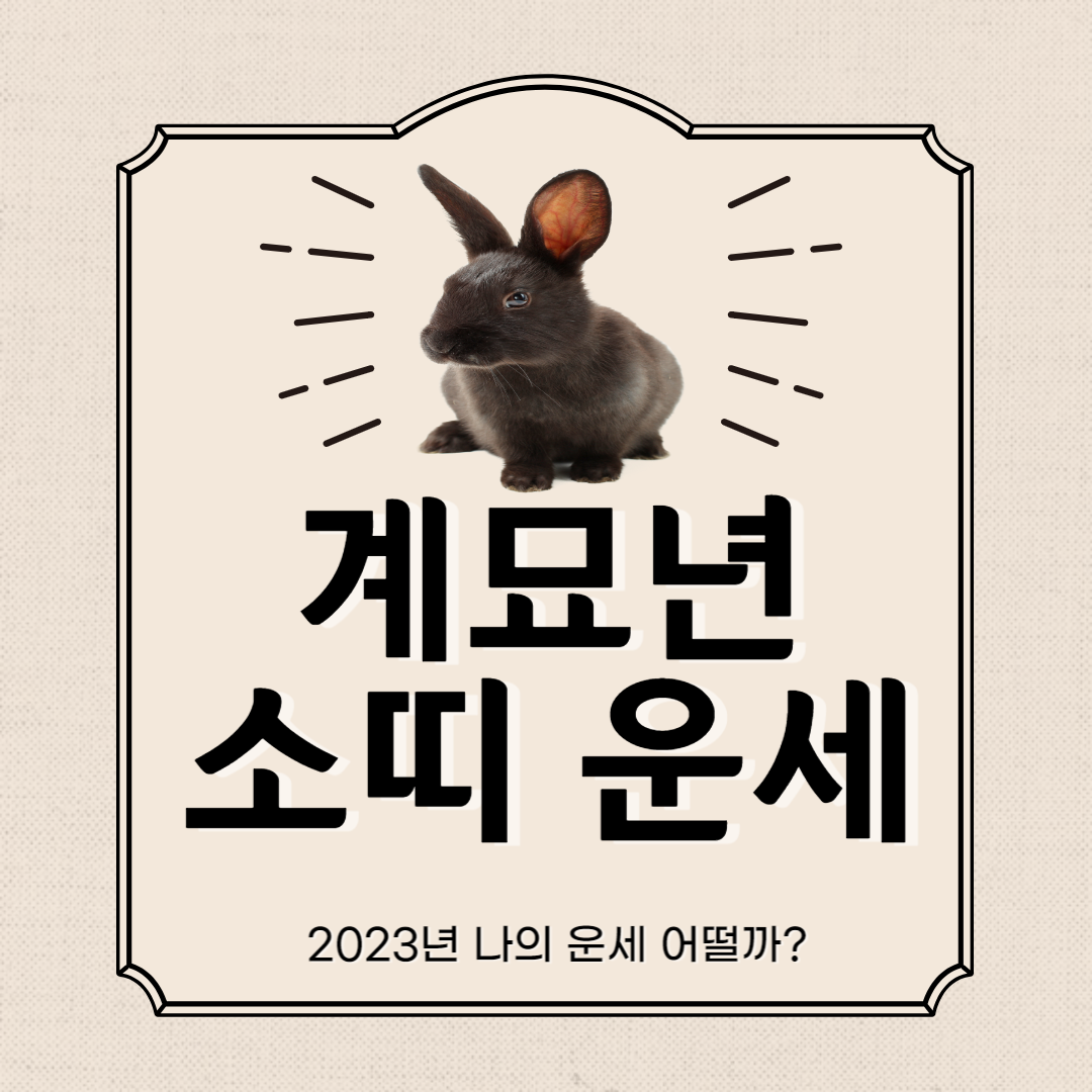 2023년 계묘년 소띠 운세 섬네일