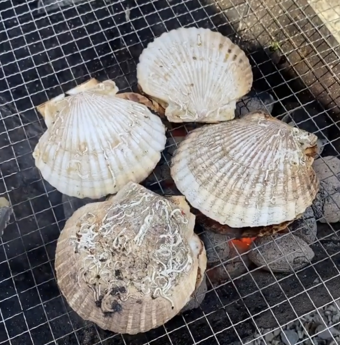 마린오토캠핑장