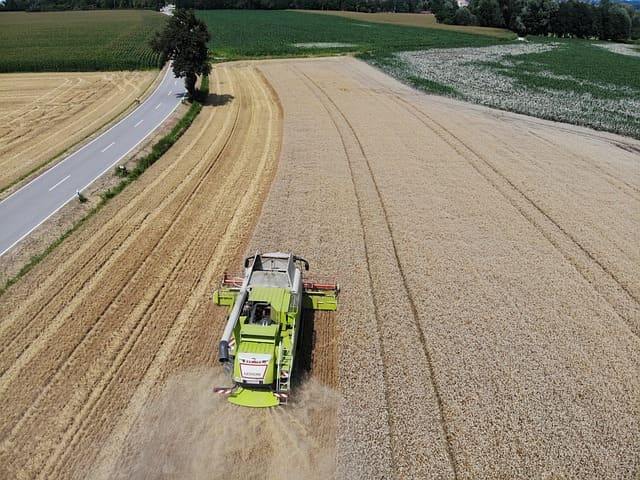 돈 되는 글 보기
