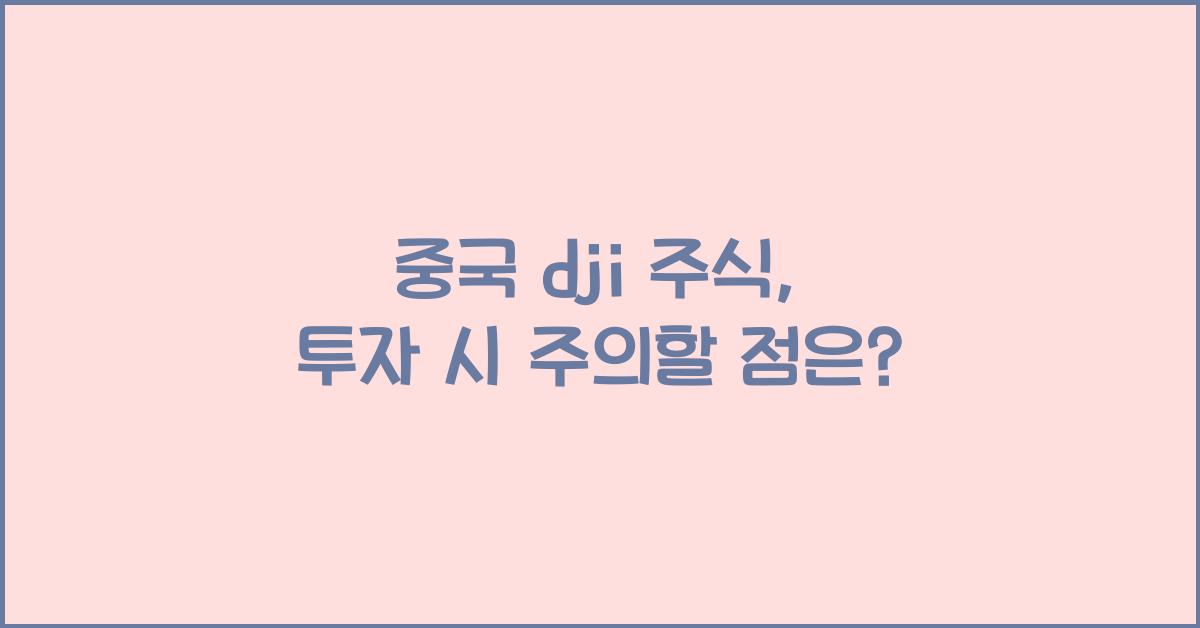 중국 dji 주식