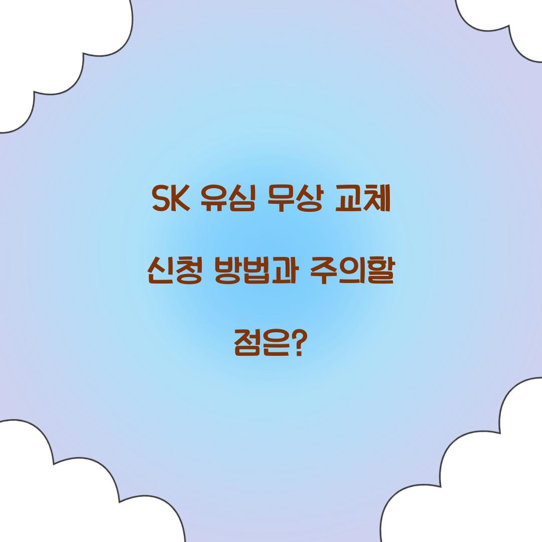 SK 유심 무상 교체