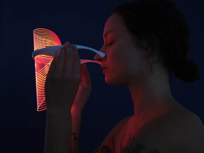 모기 물리는 꿈해몽