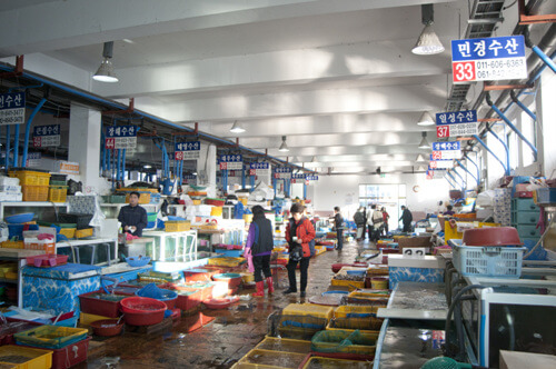 고흥 맛집 베스트 5