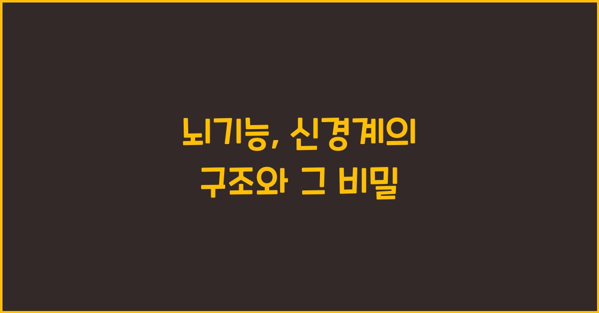 뇌기능, 신경계의 구조