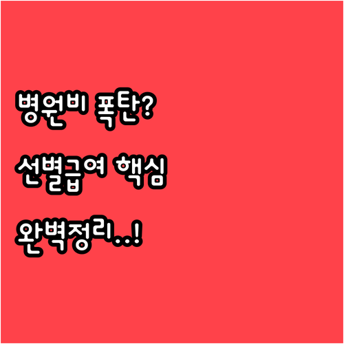 관리급여 선별급여 차이점과 항목별 본..