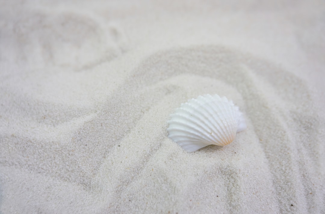 Shell