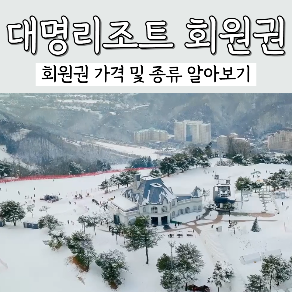 대명리조트 회원권