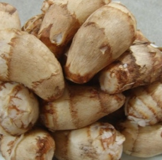 토란 뿌리 효능 부작용 고르는법 칼로리