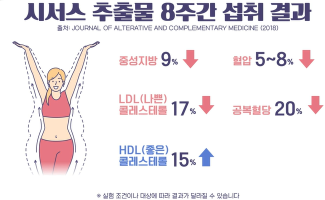 시서스 효능