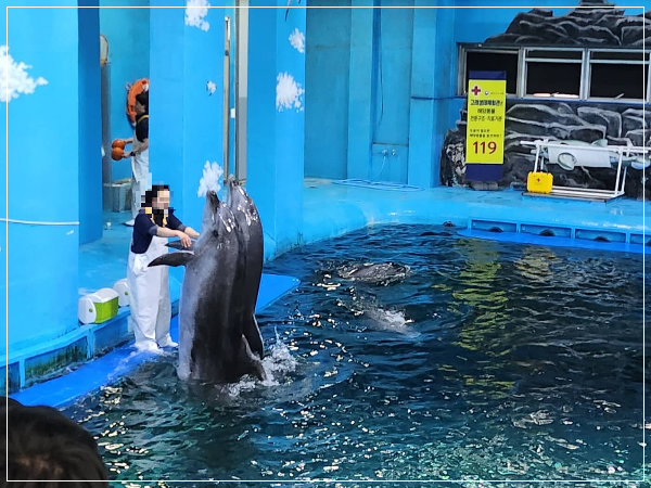 울산 가족여행 아이 놀거리와 고래 탐방 후기 (장생포)