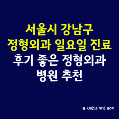 서울시 강남구 정형외과 일요일 진료 병원, 후기 좋은 정형외과 병원 추천