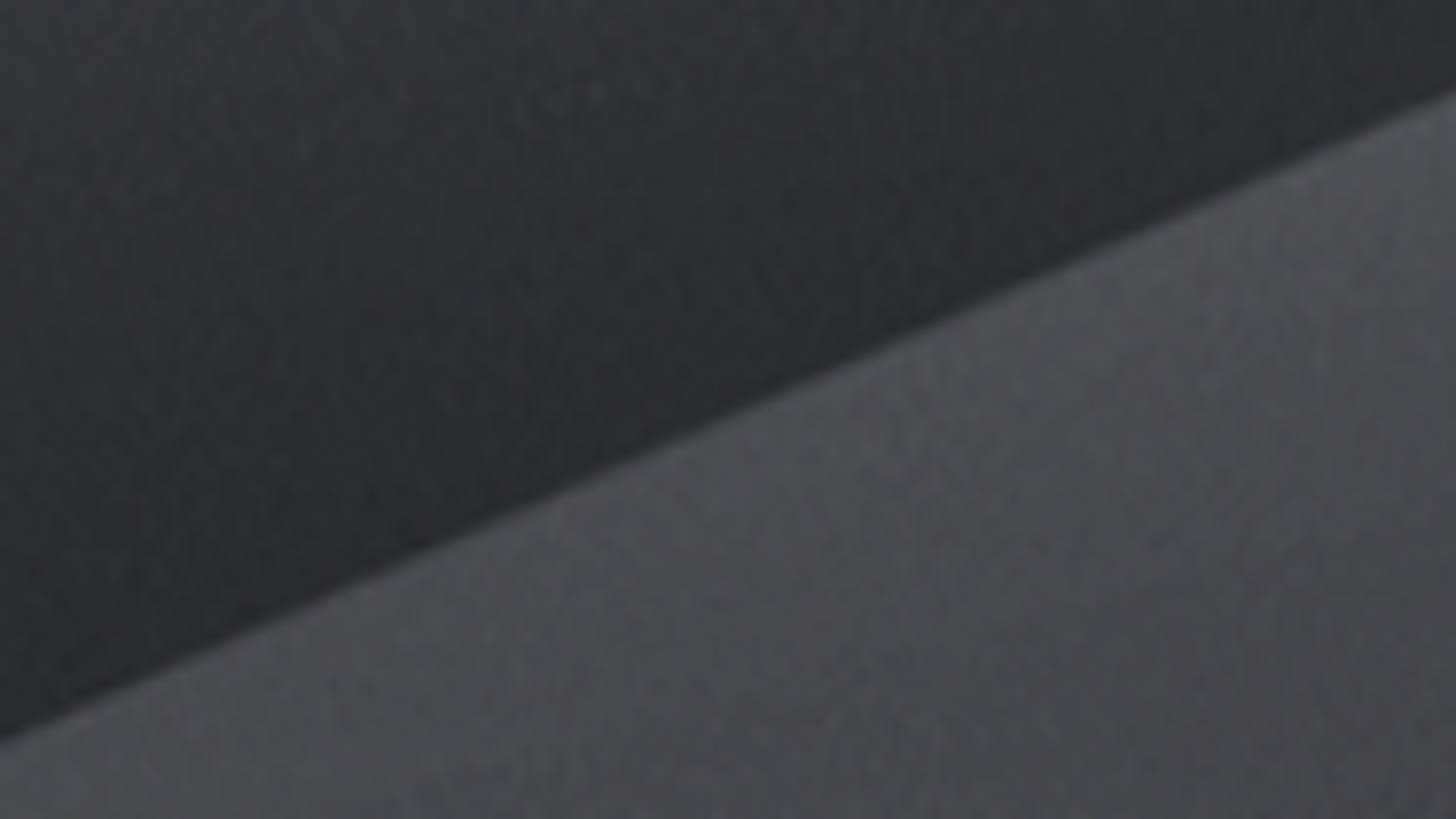 에코트로닉 그레이 펄