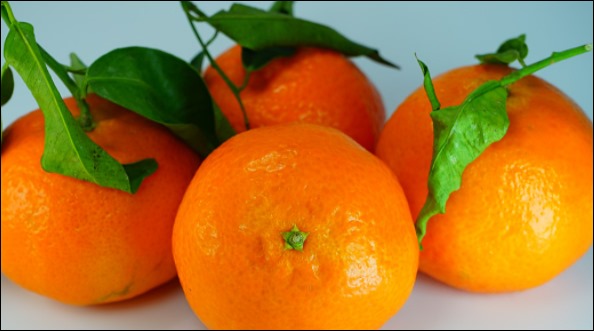 귤 효능 13