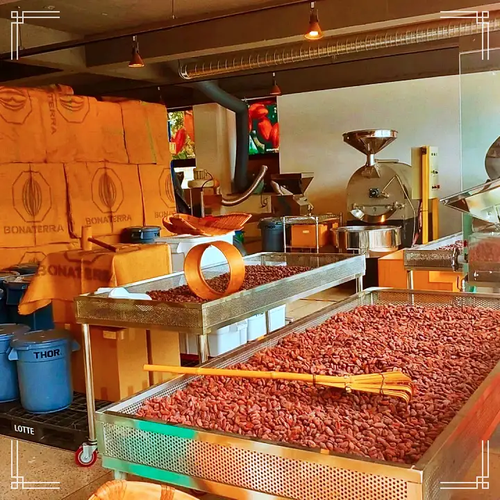 생생정보 카카오 다크 초컬릿 디저트 카페 맛집