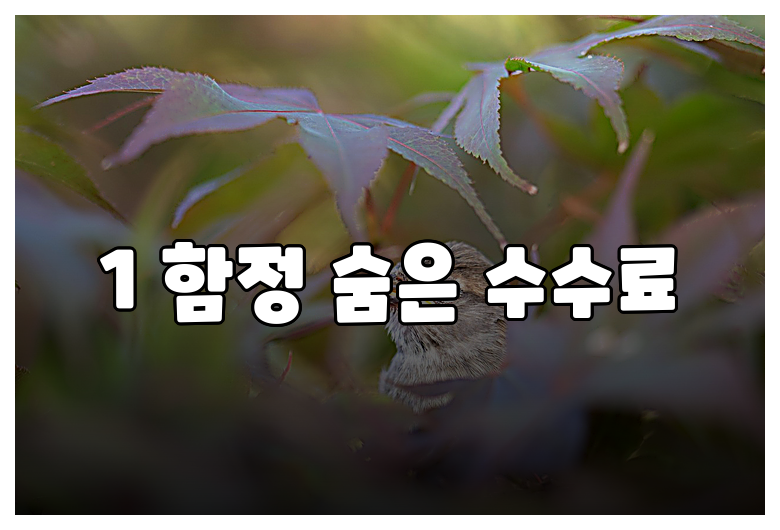 1 함정 숨은 수수료