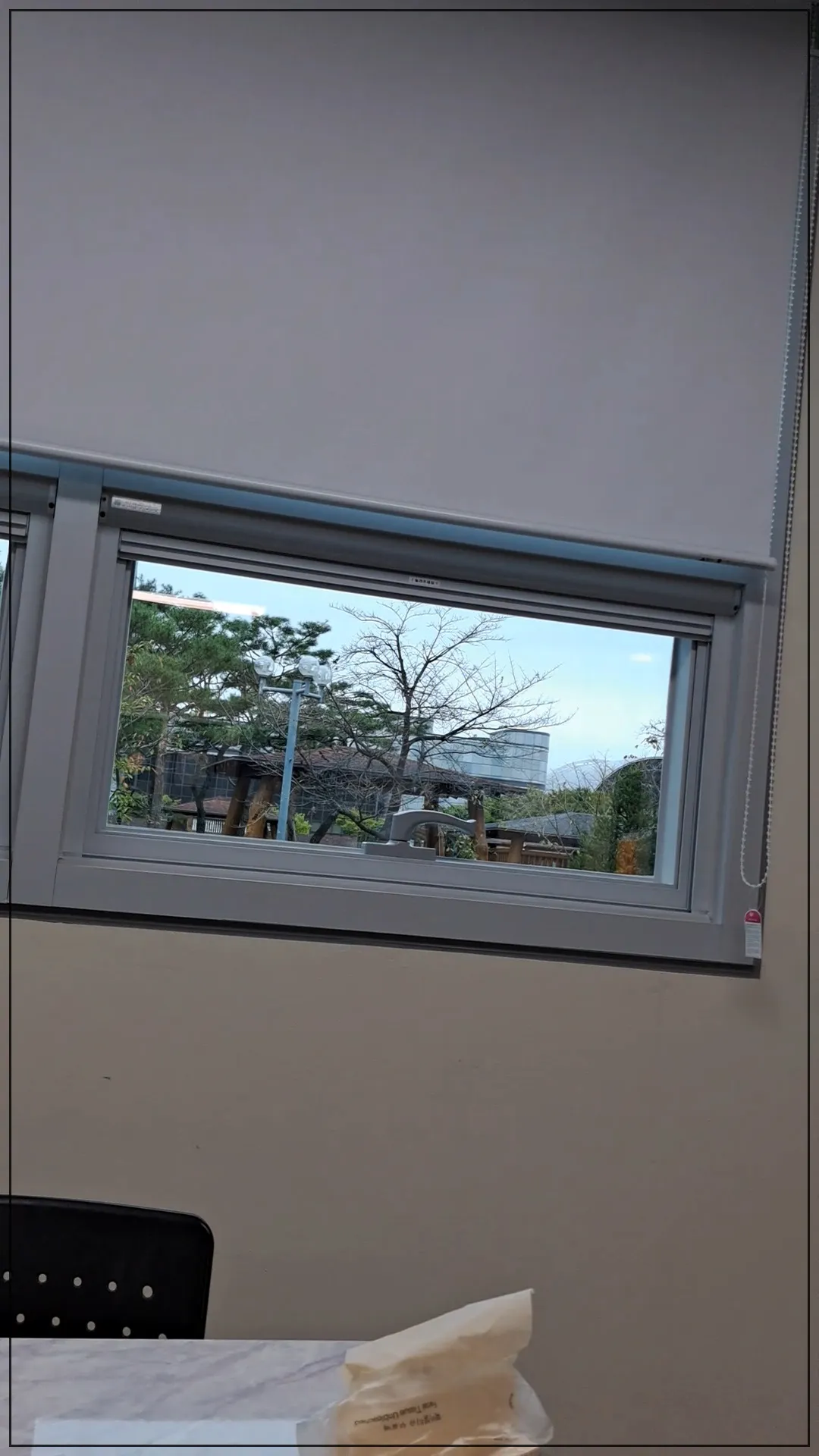 대전-국립-중앙-과학관-천체관측소-교실-창문-자연-나무