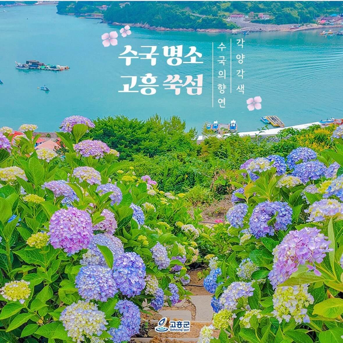 쑥섬 수국축제