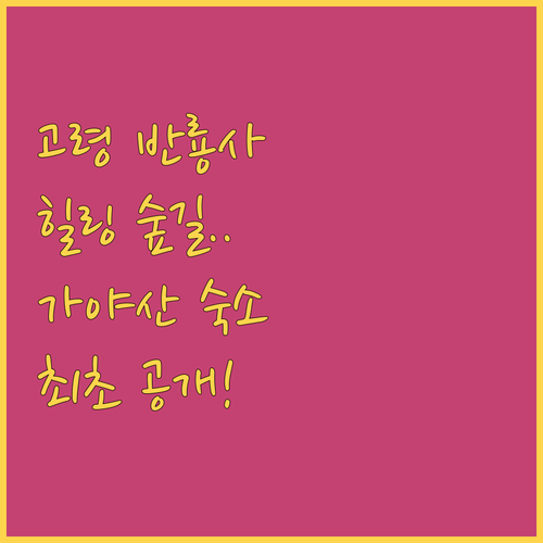 나홀로 힐링 여행 경북 고령 반룡사 ..