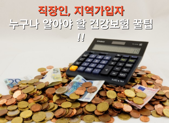 직장인 지역가입자 건강보험 꿀팁
