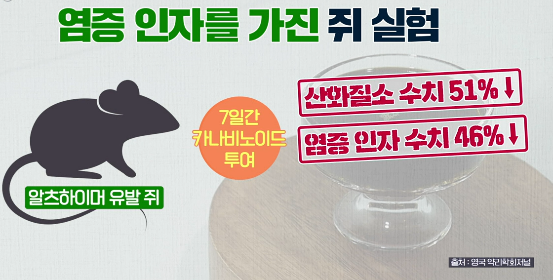 대마종자유 효능