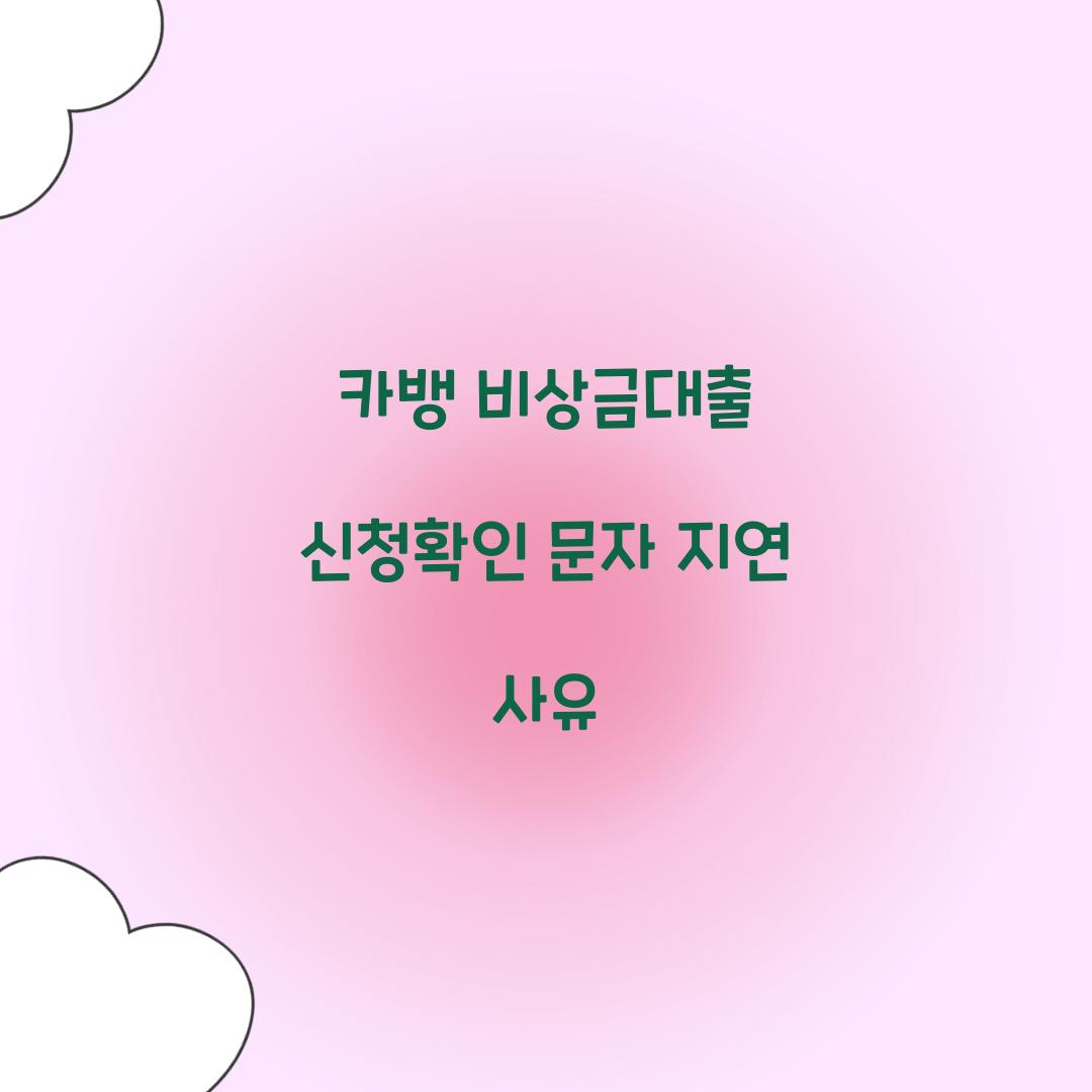 카뱅 비상금대출 신청확인 문자 지연 사유
