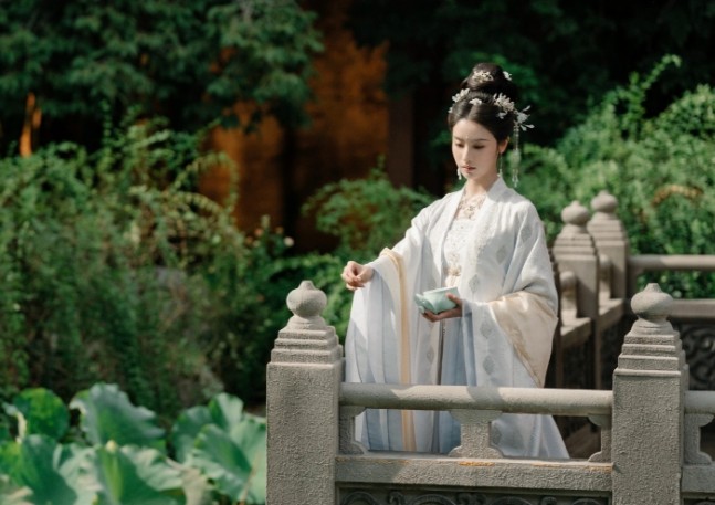 대봉타경인 줄거리, 등장인물 왕학체 전희미 범세기(양연) [중드다시보기추천]