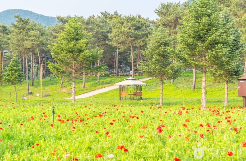 서울 근교 가볼만한곳 베스트 10