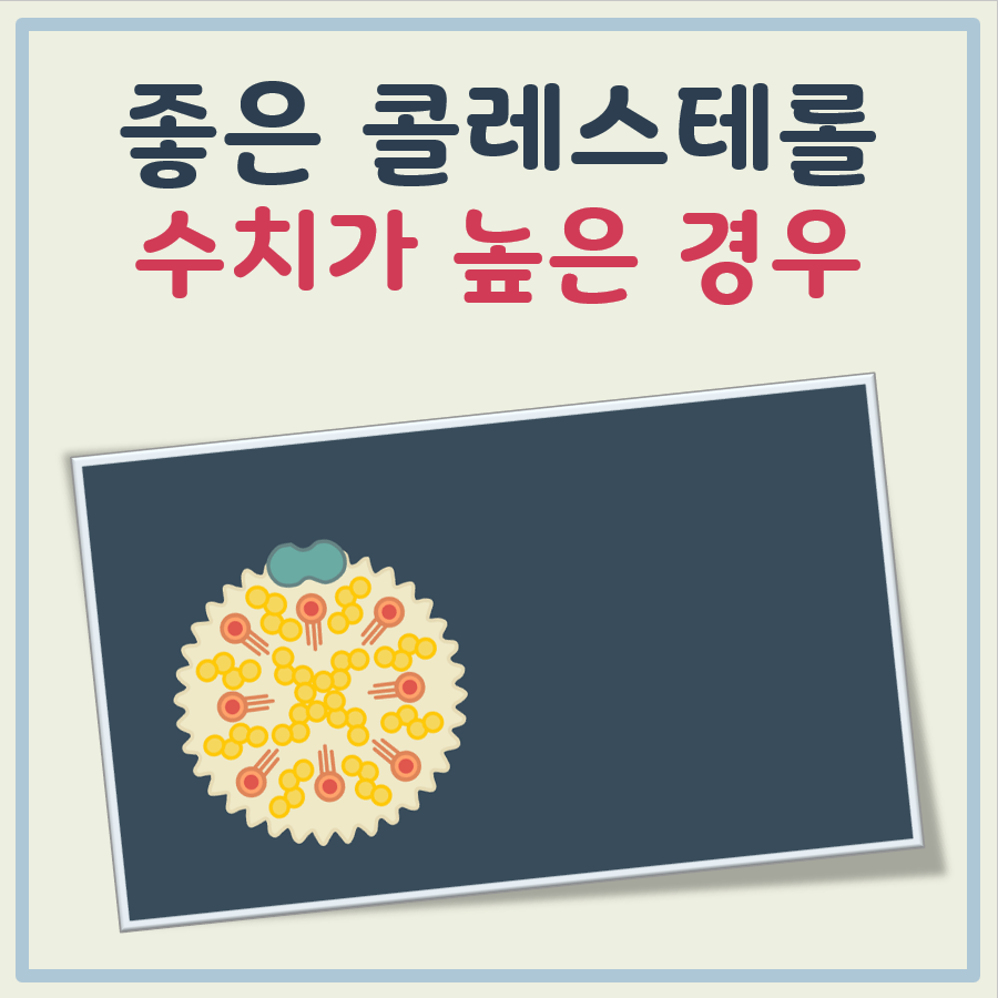 좋은 콜레스테롤 수치가 높은 경우 대표 이미지