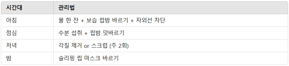 입술 보습을 위한 데일리 루틴
