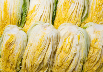 김장 절임배추 할인 사전예약 실시