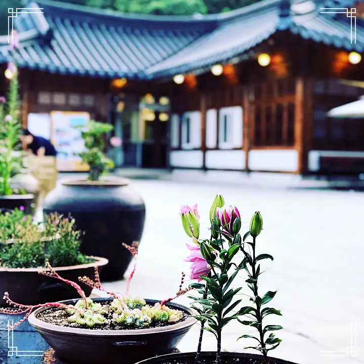 생방송오늘저녁 율무 식혜 조리퐁 율무퐁 라떼 팥죽 찰떡 1,800개 장독이 있는 한옥 카페 경기 연천 맛집 추천