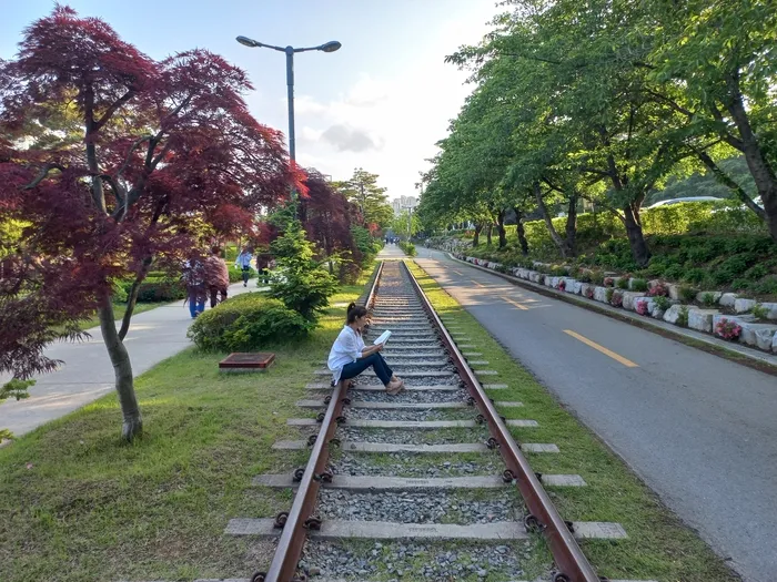 포항철길숲
