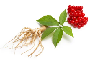 산양삼/출처:어도비스톡