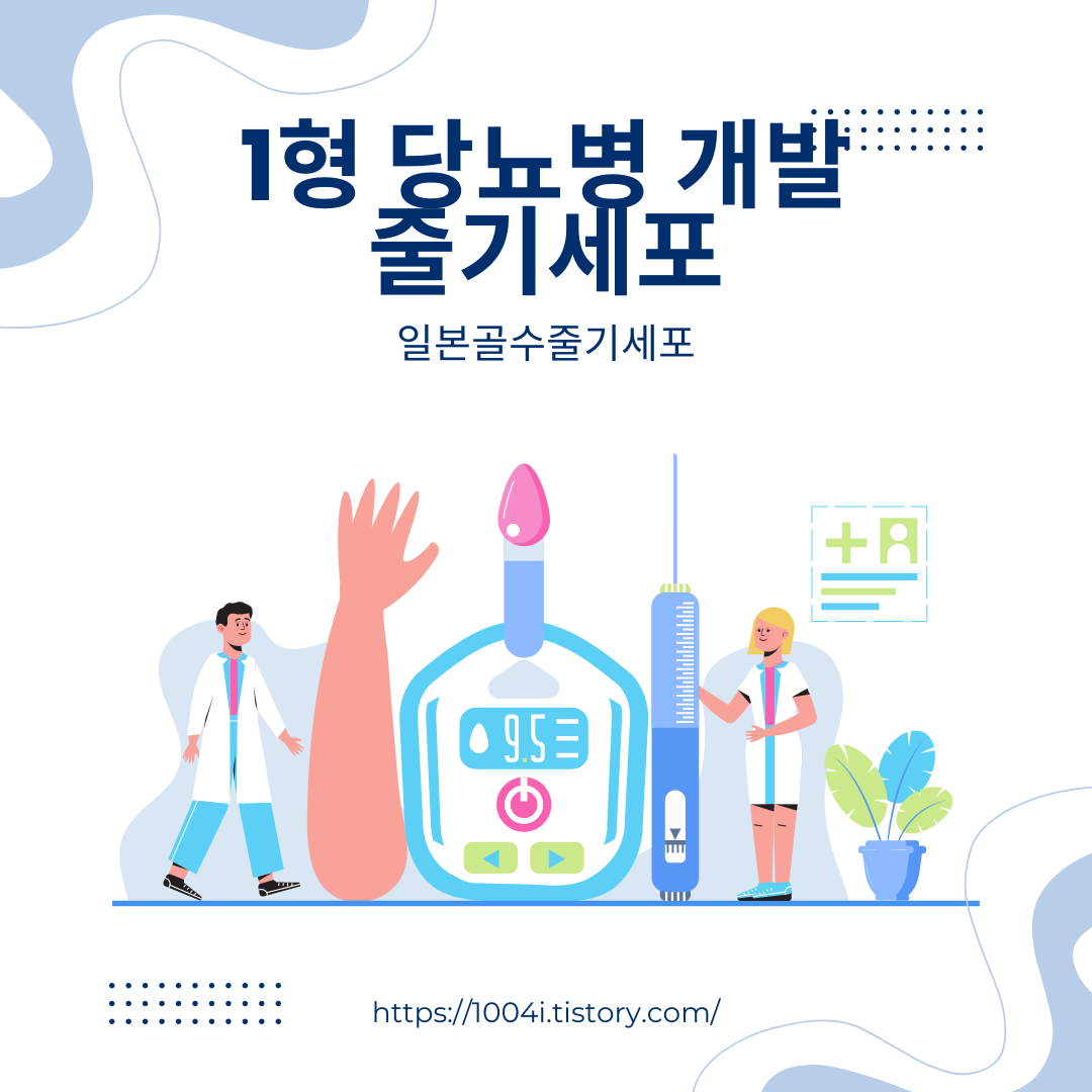 1형 당뇨병을 완치하는 새로운 치료법 개발 줄기세포 유래 췌도 세포 이식