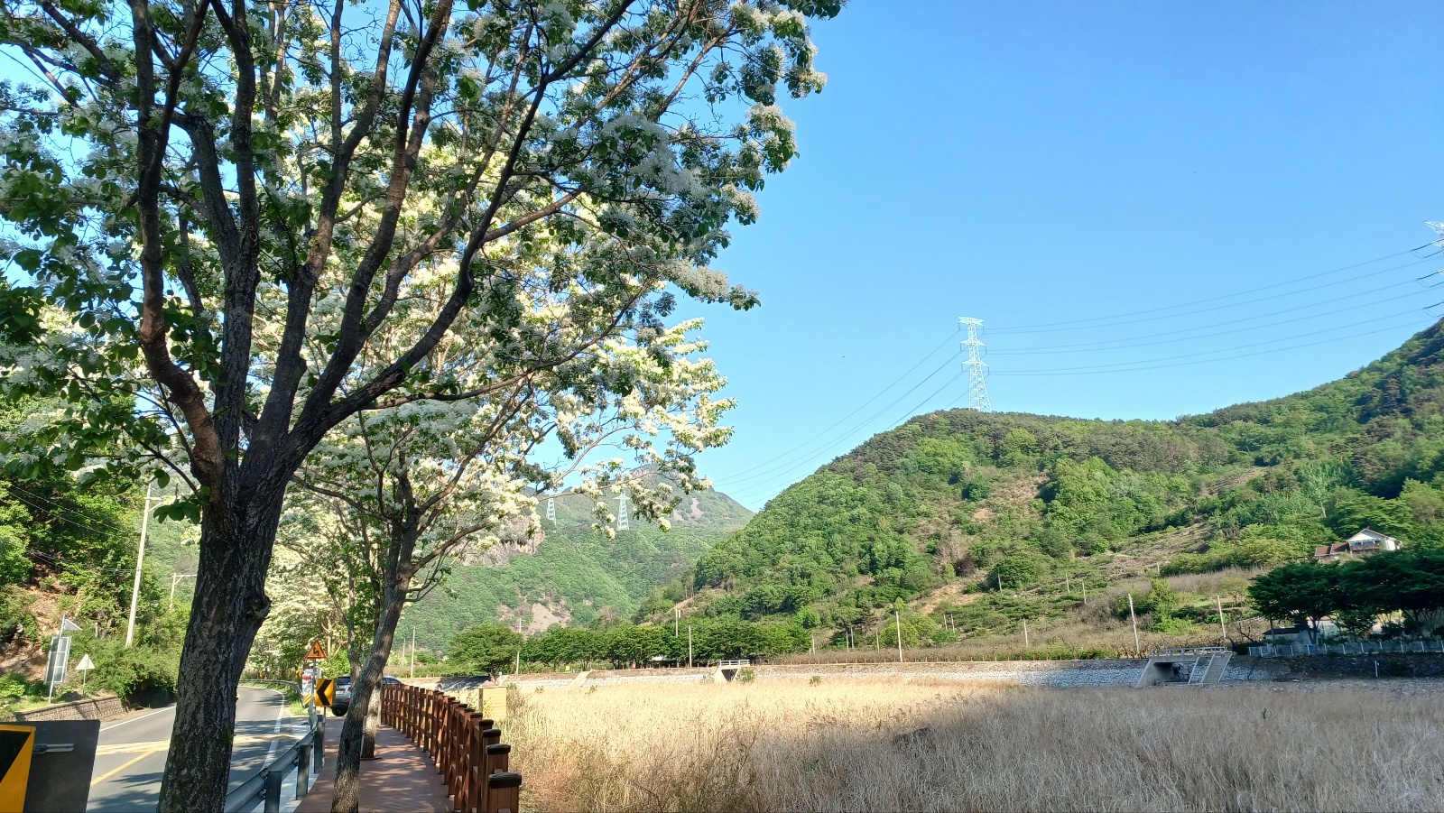 밀양댐 생태공원 이팝나무길14