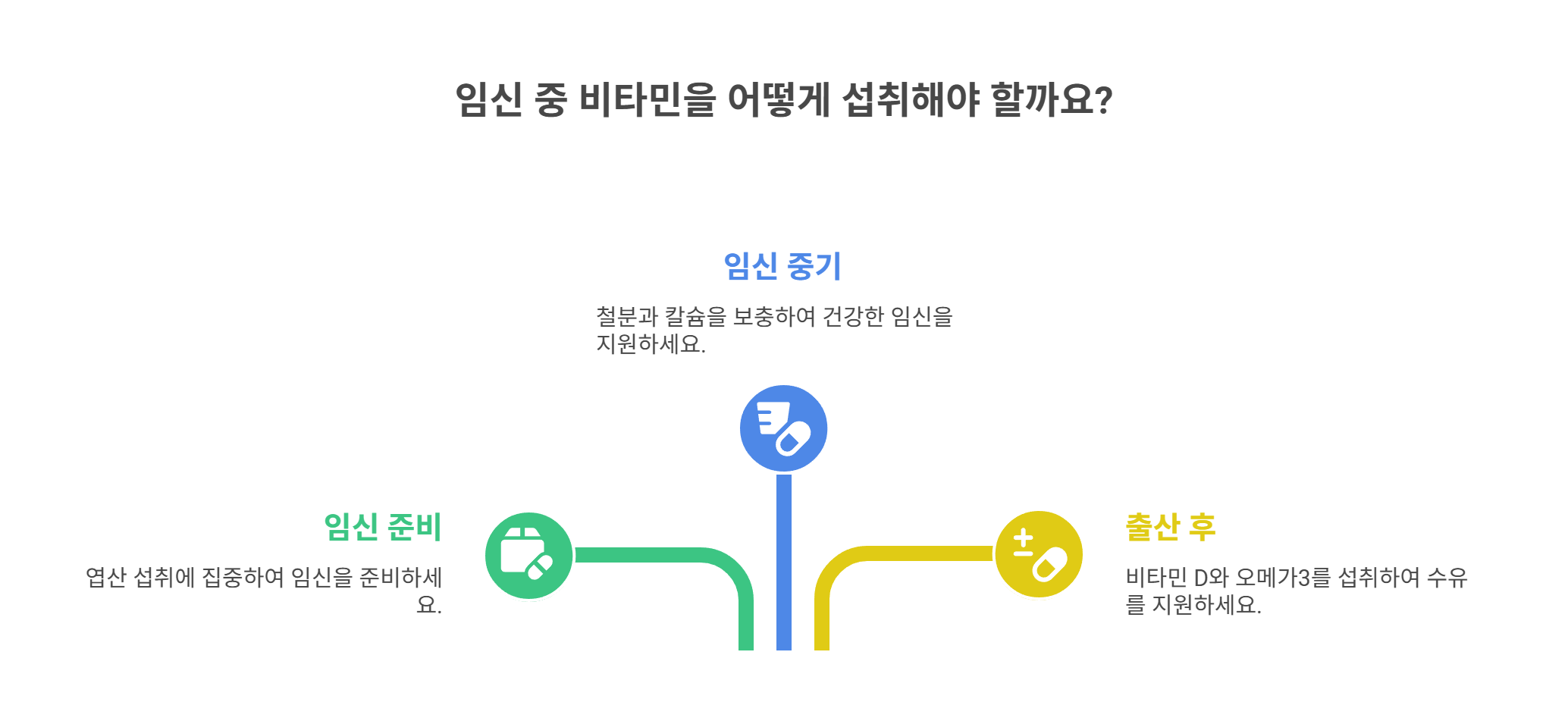 복용 시기와 올바른 섭취 방법